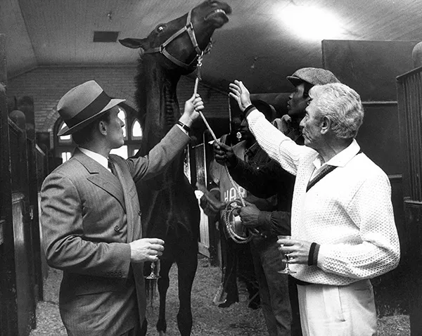 The Horse's Head: The Scene That Redefined Movie Violence